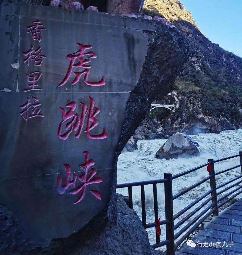 郑钦文决赛前屏蔽社交媒体